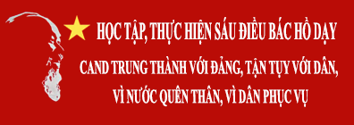 giấy dán tường Biên Hòa giá rẻ hạnh nga