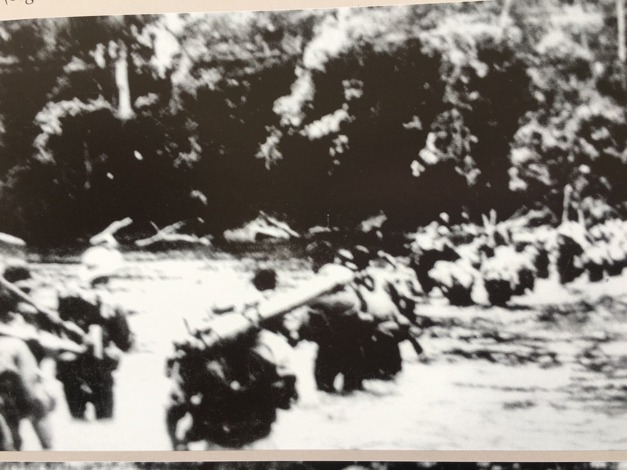 194181.jpg